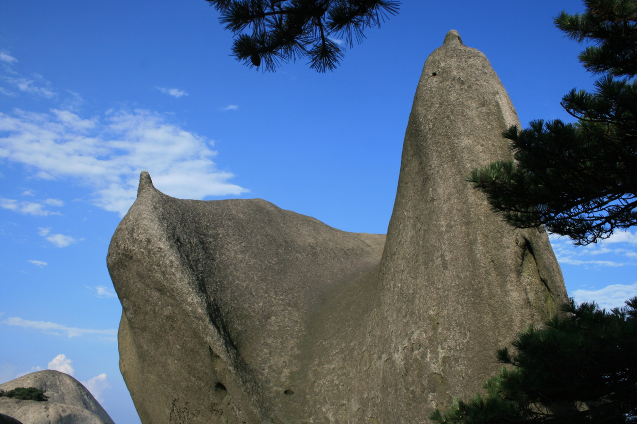 圖片3.png 圖片3.png